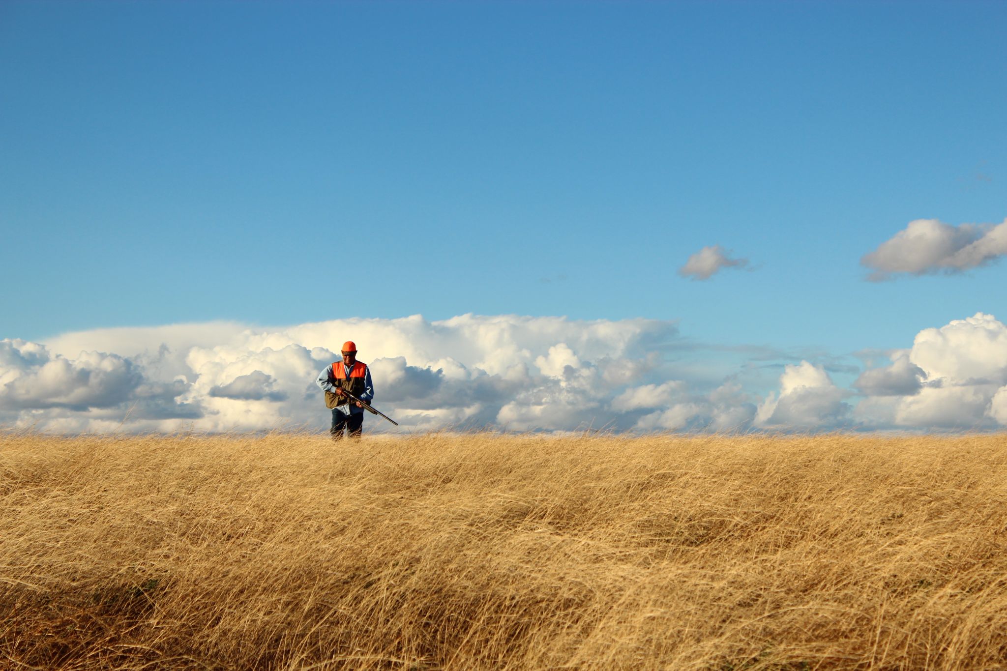 North Dakota Pheasant Hunt