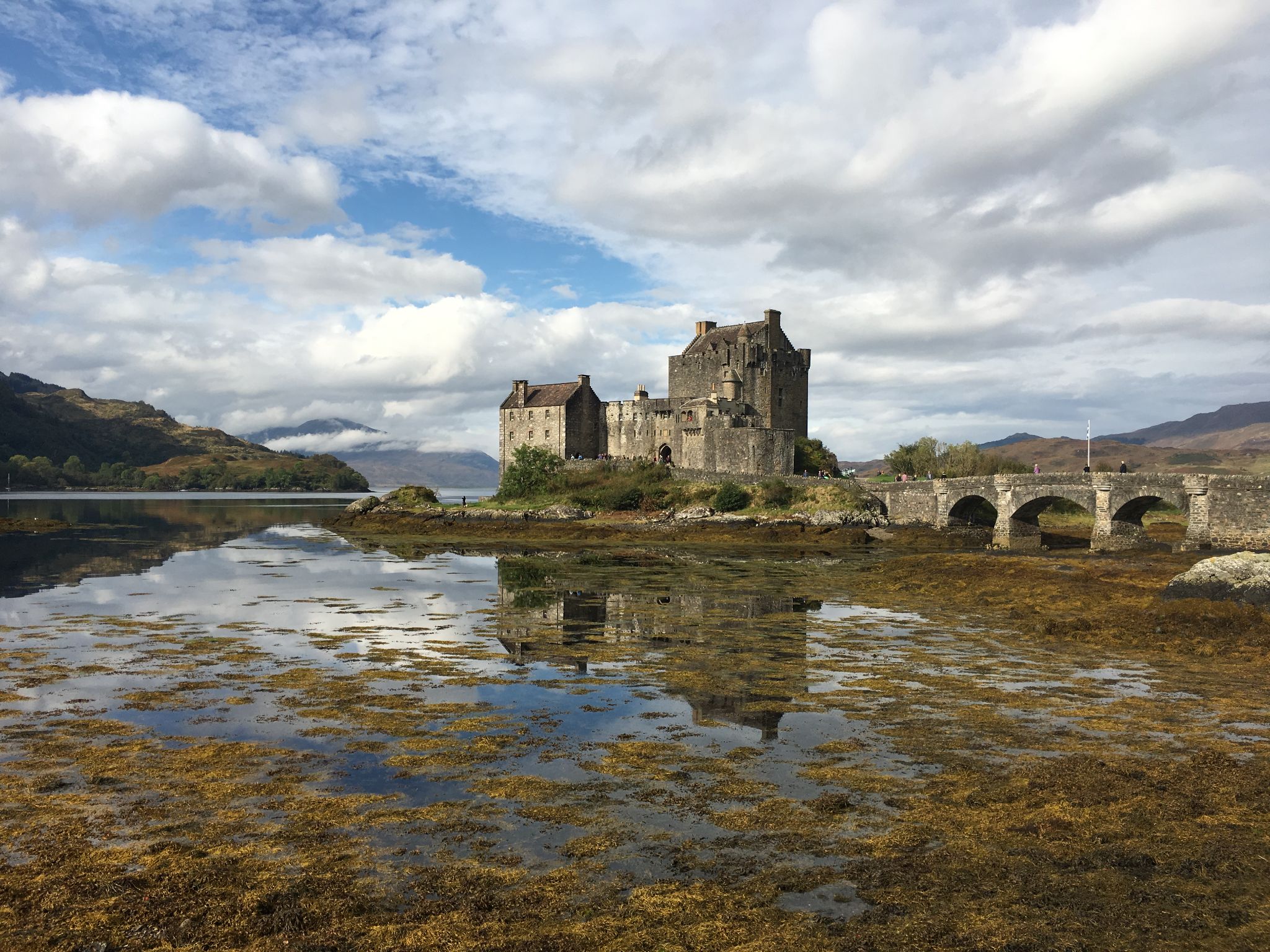 England and Scotland 2019